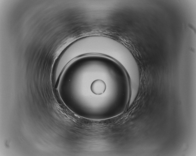 X0000101950292200808011052