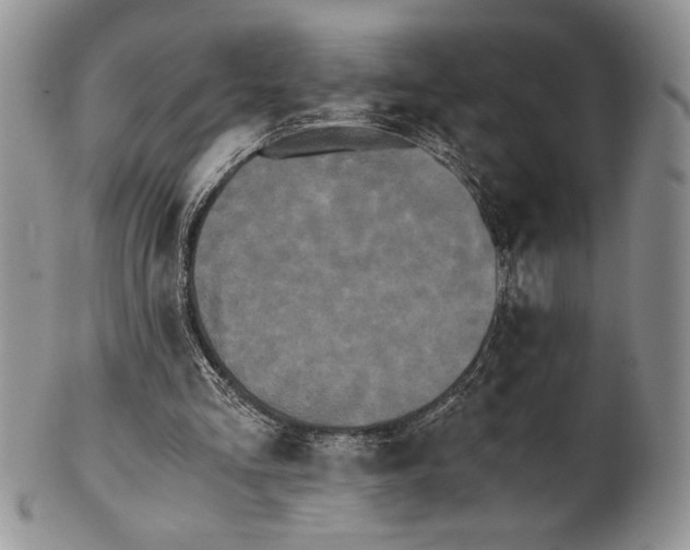 X0000101950293200808011052