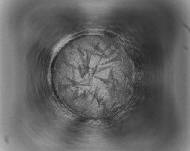 X0000101950294200808011052