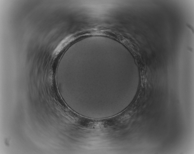 X0000101950295200808011052