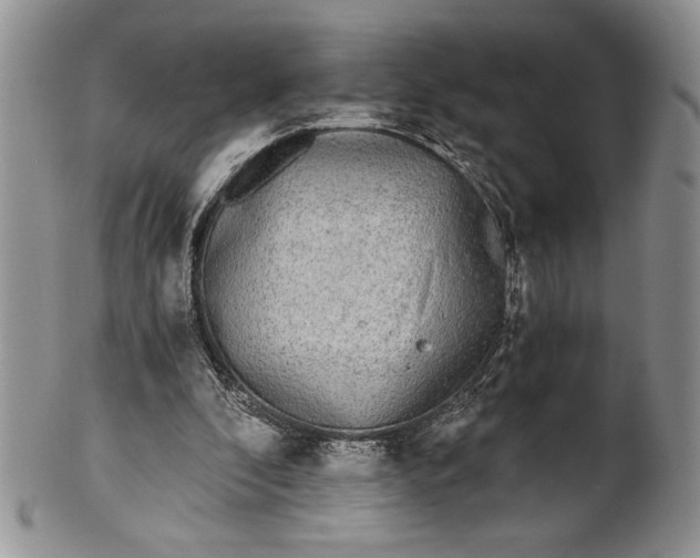 X0000101950296200808011052