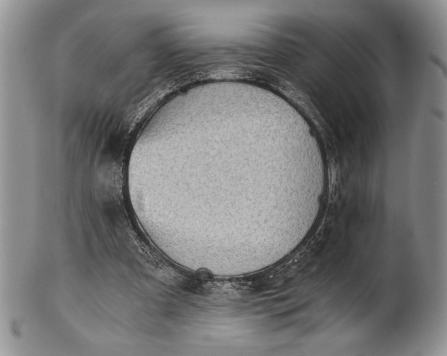 X0000101950297200808011052