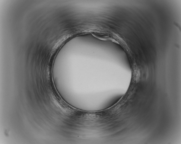 X0000101950298200808011052