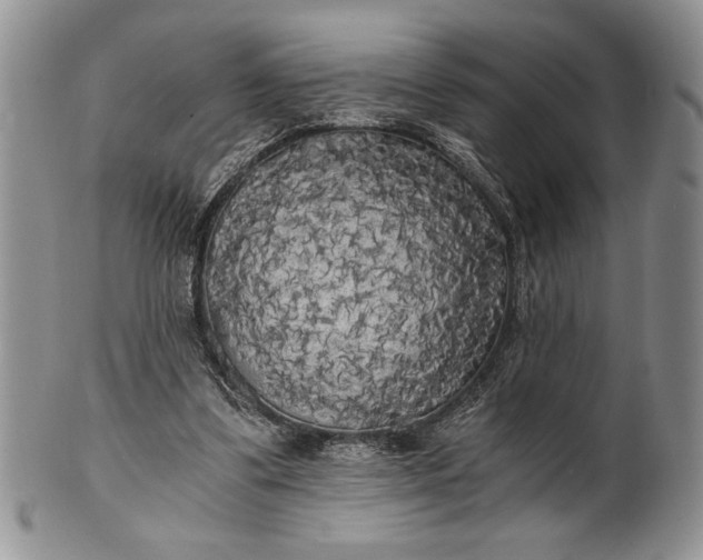 X0000101950299200808011051