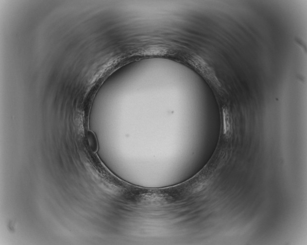 X0000101950300200808011051