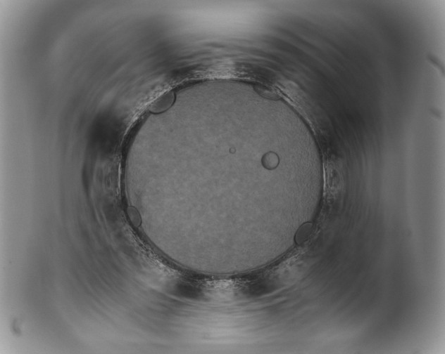 X0000101950301200808011051