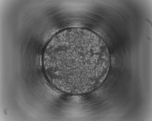 X0000101950302200808011051