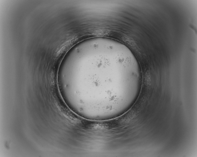 X0000101950303200808011051