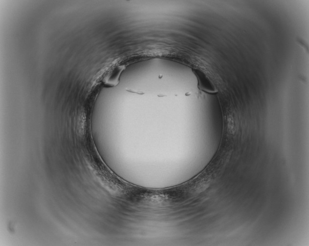 X0000101950304200808011051