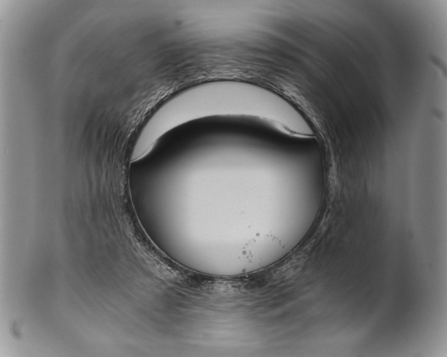 X0000101950305200808011051