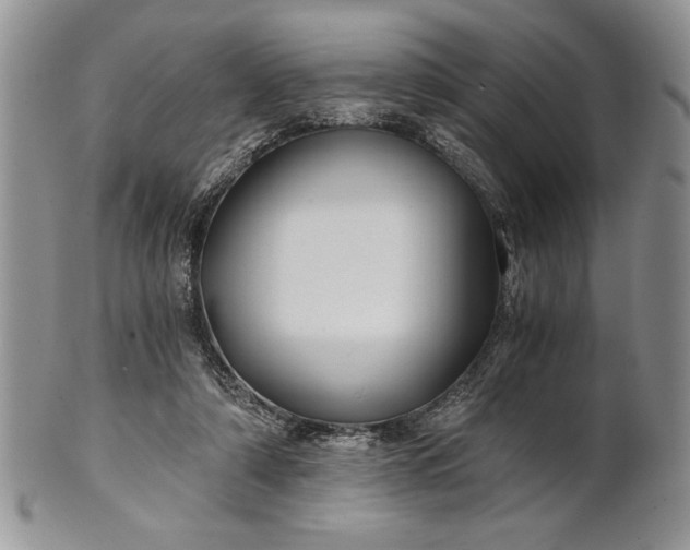 X0000101950306200808011051