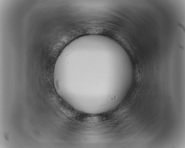 X0000101950307200808011051