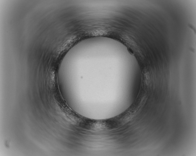 X0000101950308200808011051