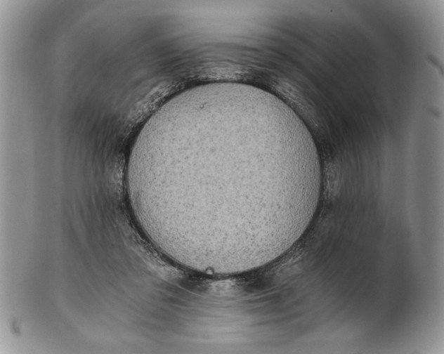 X0000101950309200808011051