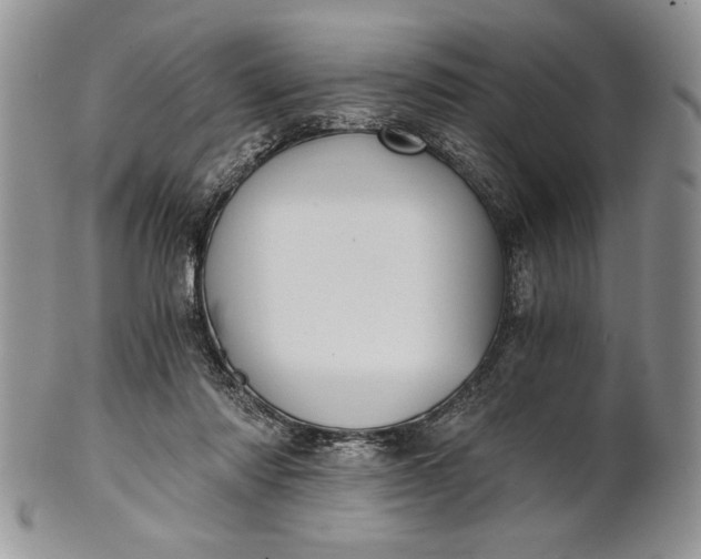 X0000101950310200808011051