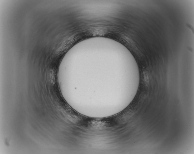 X0000101950311200808011051