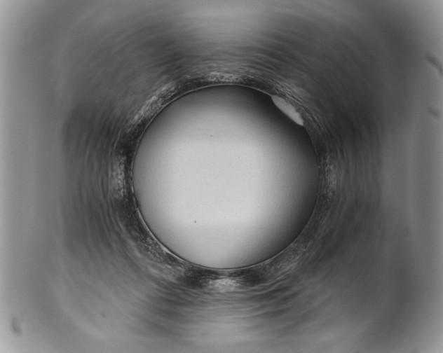 X0000101950312200808011051