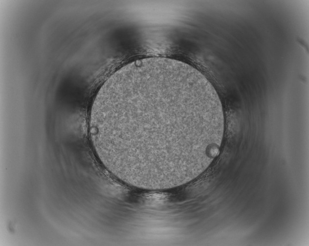 X0000101950313200808011051