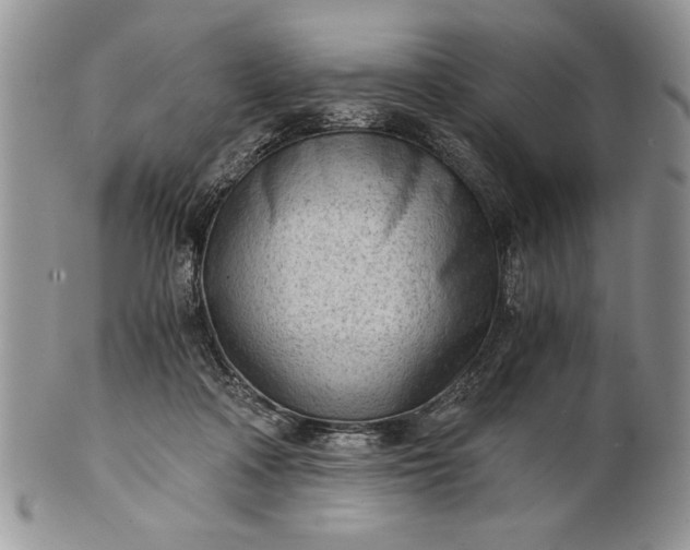 X0000101950314200808011051