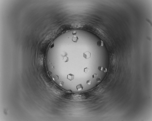 X0000101950315200808011051