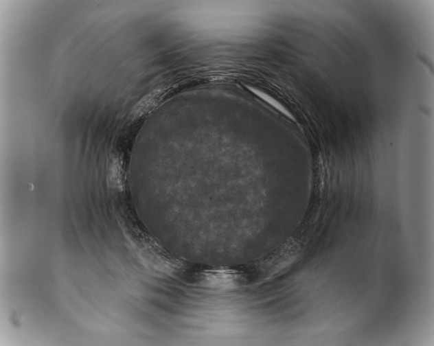 X0000101950316200808011051