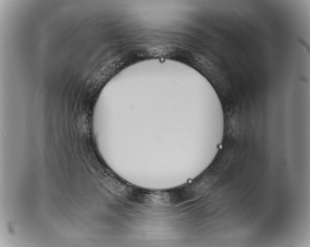 X0000101950317200808011051