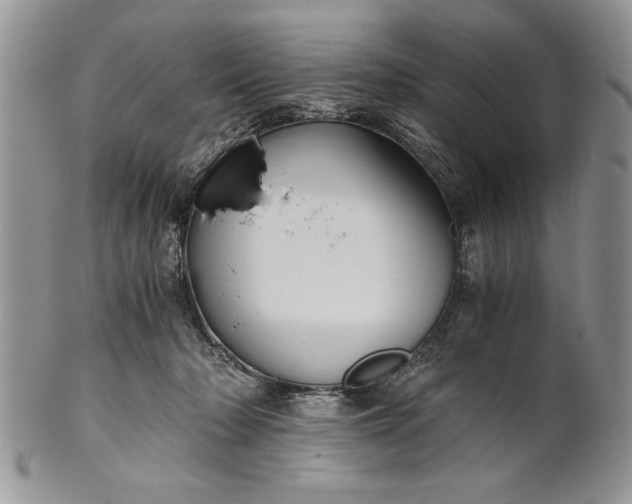 X0000101950318200808011051