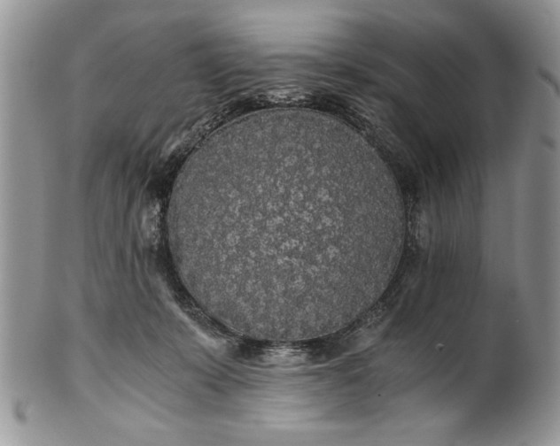 X0000101950319200808011051