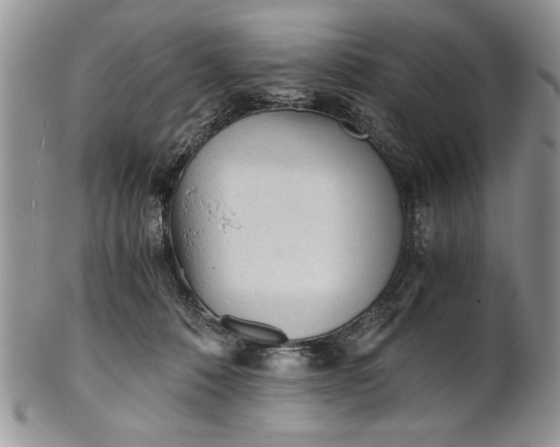 X0000101950320200808011051