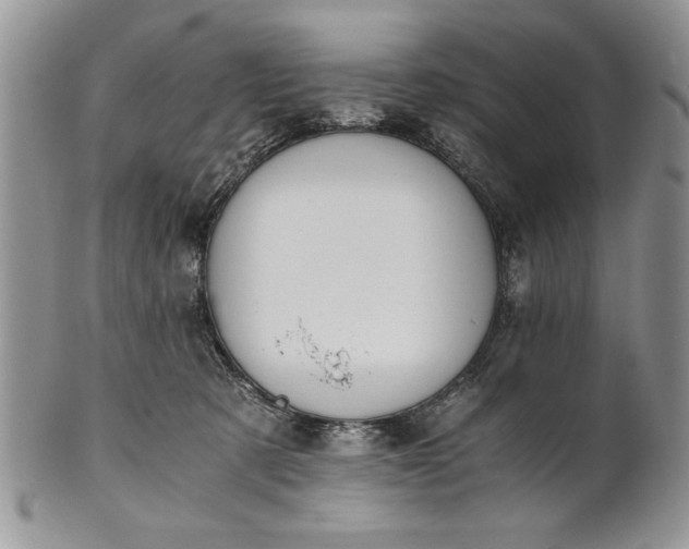 X0000101950321200808011051