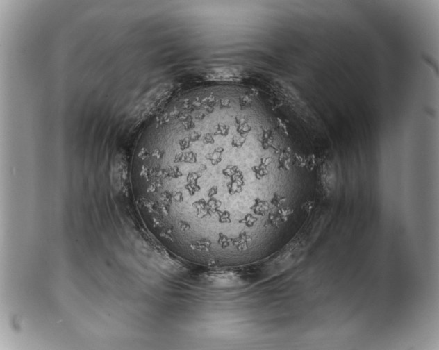 X0000101950322200808011051