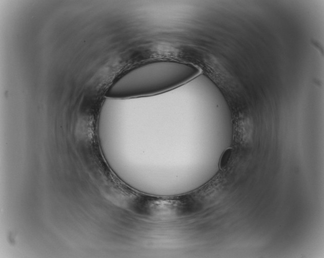 X0000101950323200808011051