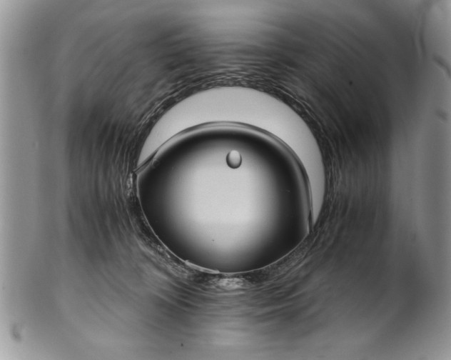 X0000101950324200808011051