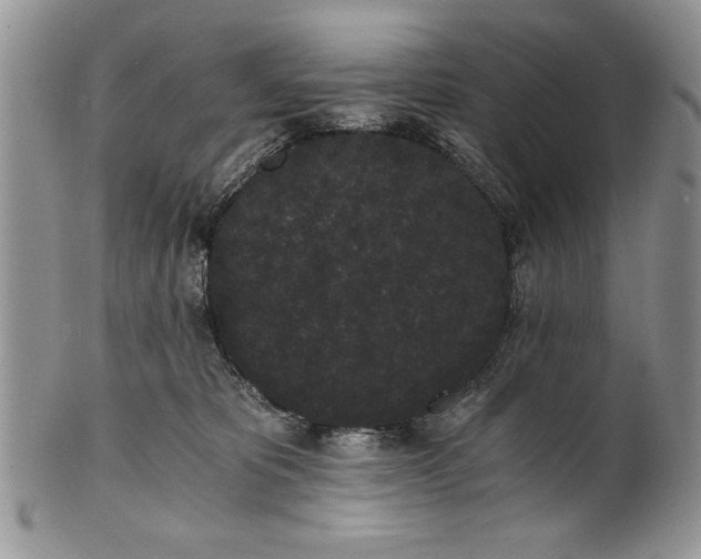 X0000101950325200808011051