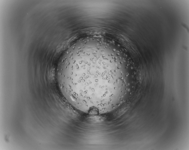 X0000101950326200808011051