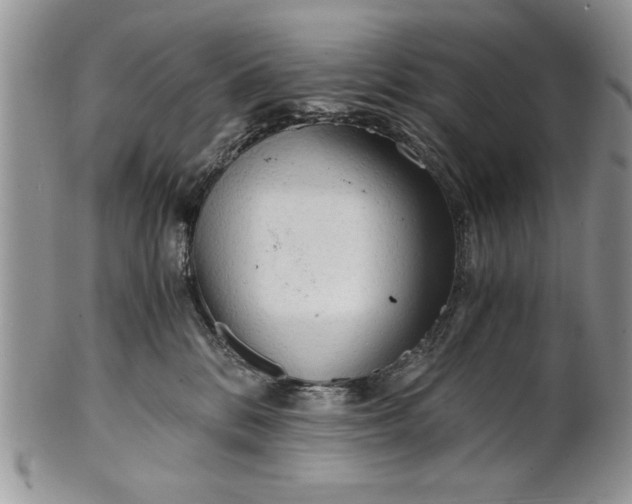 X0000101950328200808011051