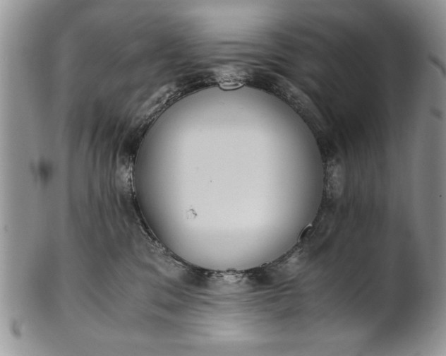 X0000101950329200808011051