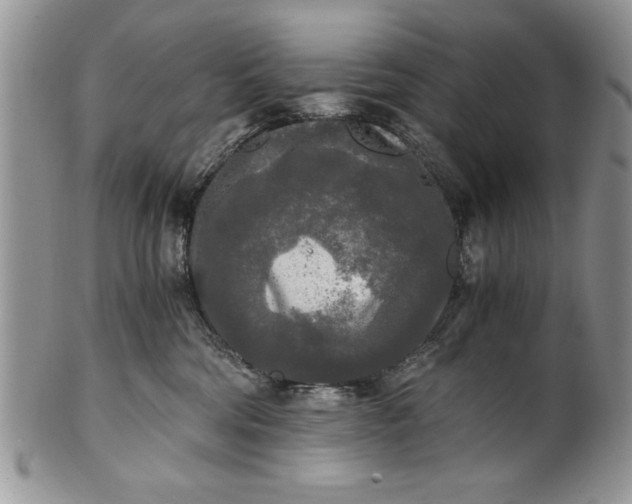 X0000101950330200808011051