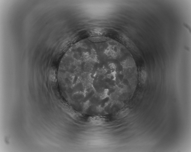 X0000101950331200808011051