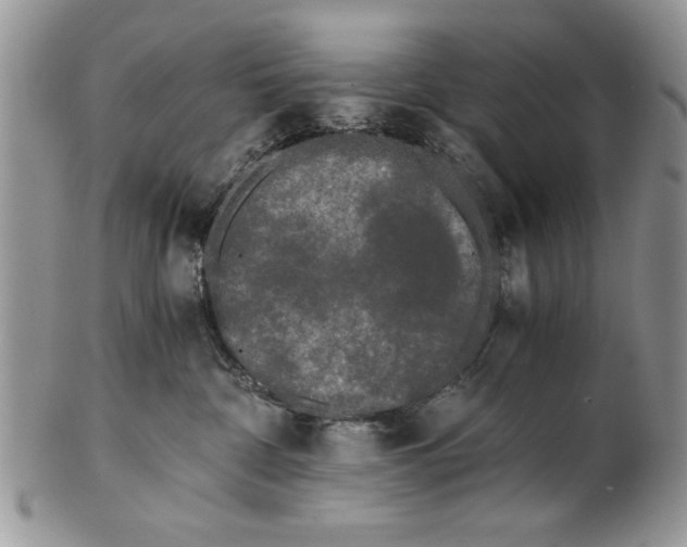 X0000101950332200808011051