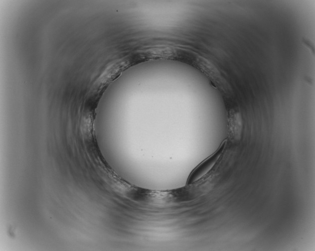 X0000101950333200808011051