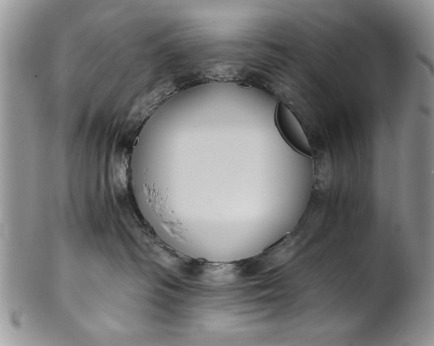 X0000101950334200808011051