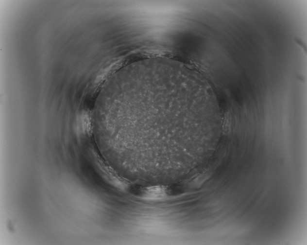 X0000101950335200808011051