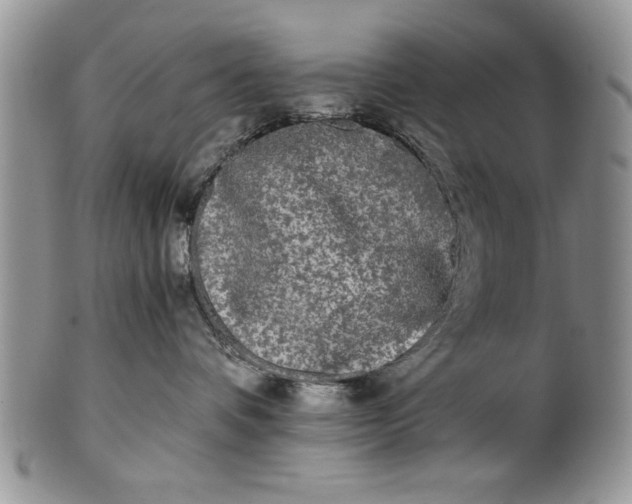 X0000101950336200808011051