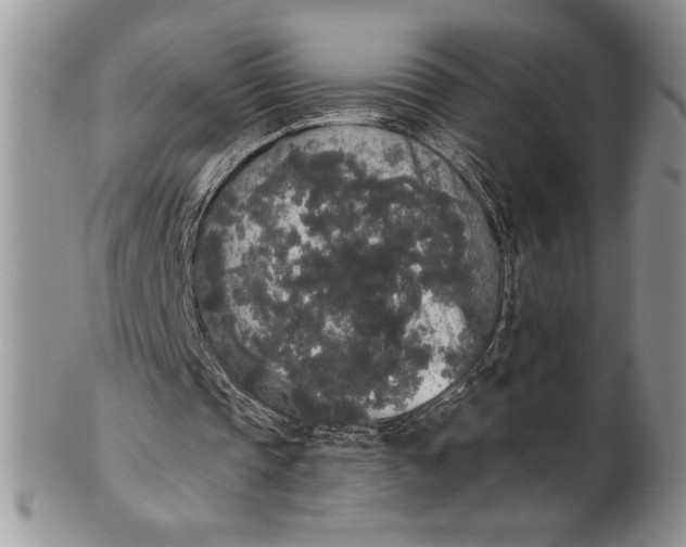 X0000101950337200808011050