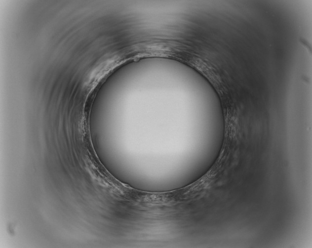 X0000101950338200808011050