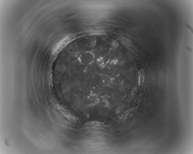 X0000101950339200808011050