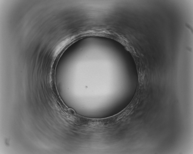 X0000101950340200808011050