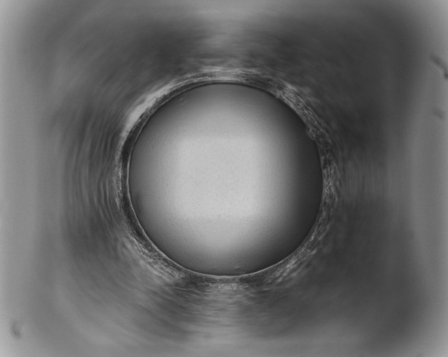 X0000101950342200808011050