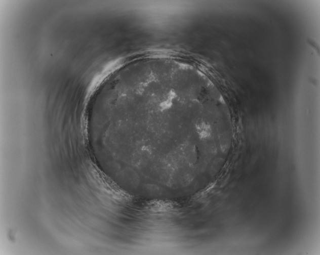 X0000101950343200808011050